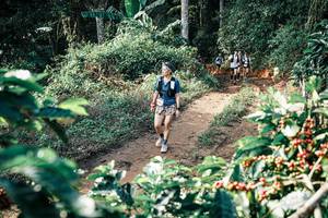 BIB: 
                            <button type="button" onclick="openModal(25855295)" class="btn btn-primary btn-sm float-right btn-popup" data-toggle="modal" data-target=".modal-high-quality">
                        <i class="fas fa-shopping-cart"></i> Add to Cart
                    </button>
                                            <button type="button" onclick="isThisMe(25855295, true)" class="btn btn-success btn-sm float-right btn-popup btn-isme hidden" data-toggle="tooltip" data-placement="bottom" title="นี่คือรูปของคุณใช่ไหม คลิกที่นี่เพื่อเอาเข้าอัลบั้ม">
                        <i class="fas fa-plus"></i> Add to album
                    </button>
                    <button type="button" onclick="isThisMe(25855295, false)" class="btn btn-warning btn-sm float-right btn-popup btn-isnotme hidden">
                        <i class="fas fa-ban"></i> Remove from album
                    </button>